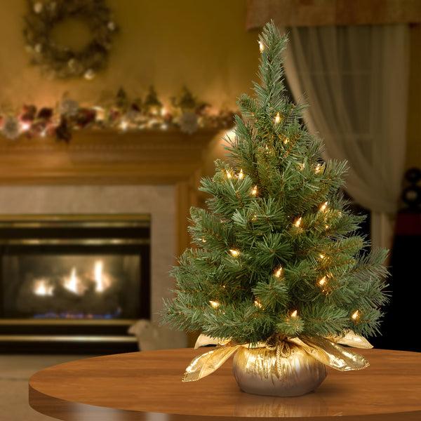 National Tree Company 2 Ft. Pre-Lit Majestic Fir Tree With Clear Lights Gold Base