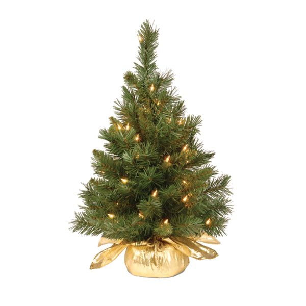 national tree company 2 ft. Pre-Lit Majestic Fir Tree with Clear Lights Gold Base
