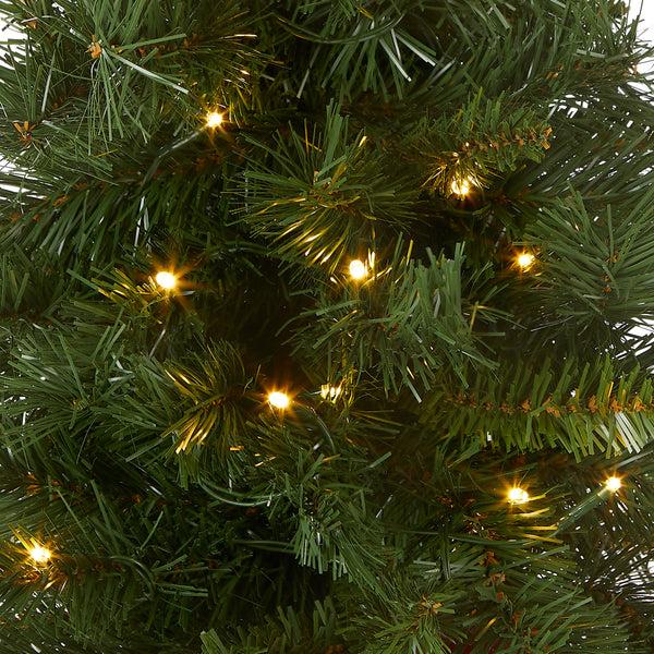 National Tree Company 2 Ft. Pre-Lit Majestic Fir Tree With LED Lights Red Base