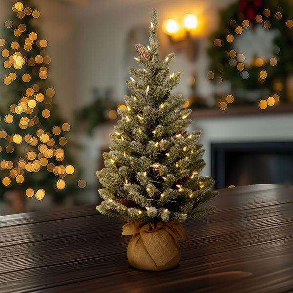 National Tree Company 2 Ft. Pre-Lit Snowy Concolor Fir Tree With LED Lights