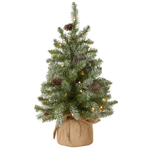 national tree company 2 ft. Pre-Lit Snowy Concolor Fir Tree with LED Lights national tree company 2 ft. Pre-Lit Snowy Concolor Fir Tree with LED Lights
