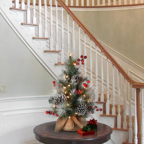 National Tree Company 2 Ft. Snowy Glacier Pine Tree With Warm White LED Lights