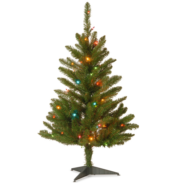national tree company 3 ft. Kingswood Fir Tree with Multicolor Lights