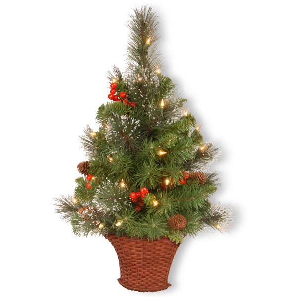 national tree company 3 ft.Pre-Lit Crestwood Spruce Tree with Warm White LED Lights