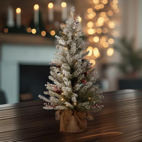 National Tree Company 3 Ft. Pre-Lit Dunhill Fir Tree With Warm White LED Lights