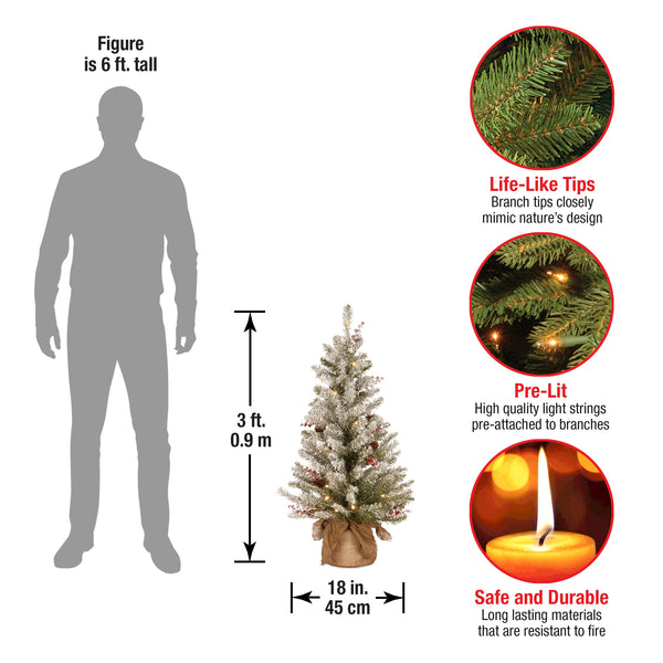 National Tree Company 3 Ft. Pre-Lit Dunhill Fir Tree With Warm White LED Lights