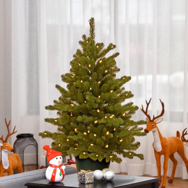 National Tree Company 3 Ft. Pre-Lit Hampton Spruce Tree With Clear Lights