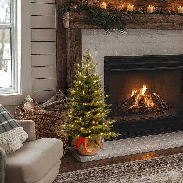 National Tree Company 3 Ft. Pre-Lit Nordic Spruce Tree With LED Lights