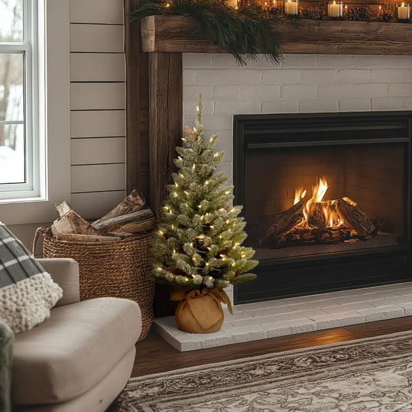 National Tree Company 3 Ft. Pre-Lit Snowy Concolor Fir Tree With LED Lights