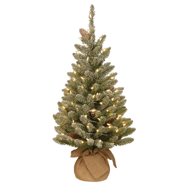 national tree company 3 ft. Pre-Lit Snowy Concolor Fir Tree with LED Lights
