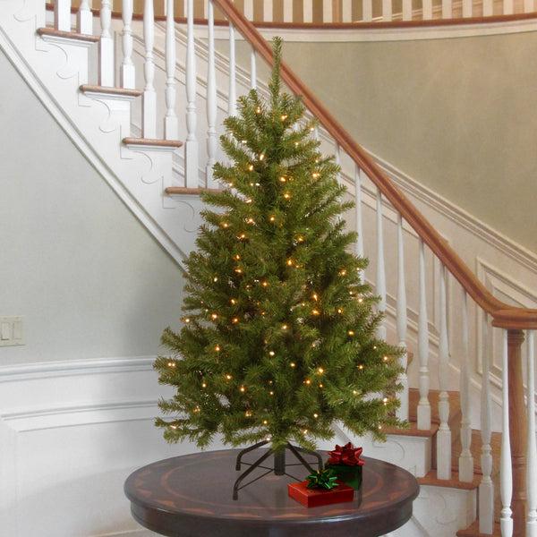 National Tree Company 4.5 Ft. Pre-Lit North Valley Spruce Tree With Clear Lights