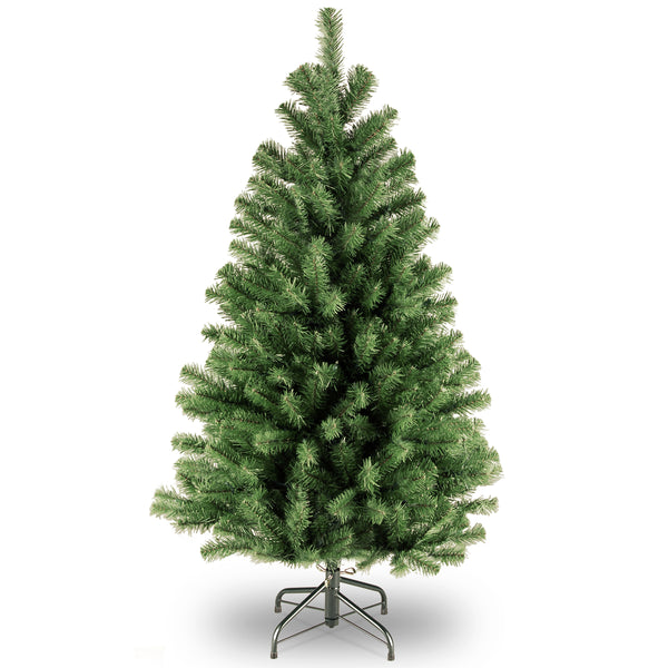 national tree company 4 ft. North Valley Spruce Tree