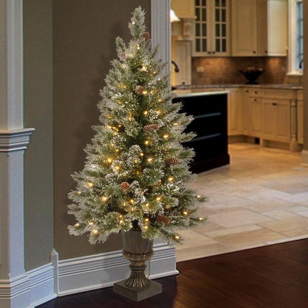 National Tree Company 4 Ft. Pre-Lit Aberdeen Blue Spruce Tree With Twinkly LED Lights