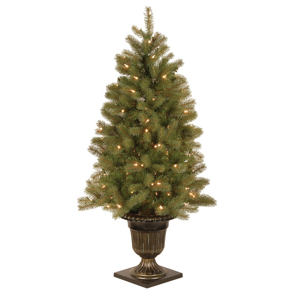national tree company 4 ft. Pre-Lit Downswept Douglas Fir Tree with Clear Lights