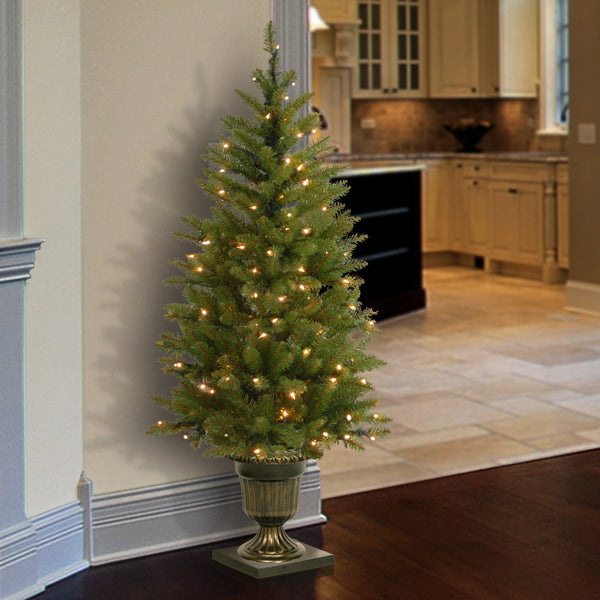 National Tree Company 4 Ft. Pre-Lit Dunhill Fir Entrance Tree With Clear Lights