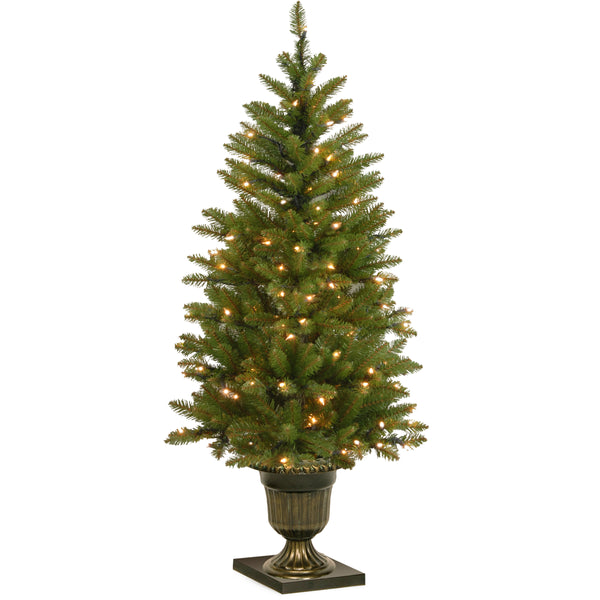 national tree company 4 ft. Pre-Lit Dunhill Fir Entrance Tree with Clear Lights