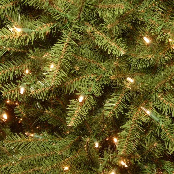 National Tree Company 4 Ft. Pre-Lit Dunhill Fir Tree With Clear Lights