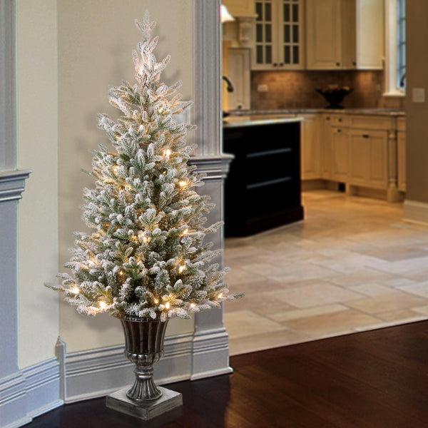 National Tree Company 4 Ft. Pre-Lit Iceland Fir Tree With Clear Lights