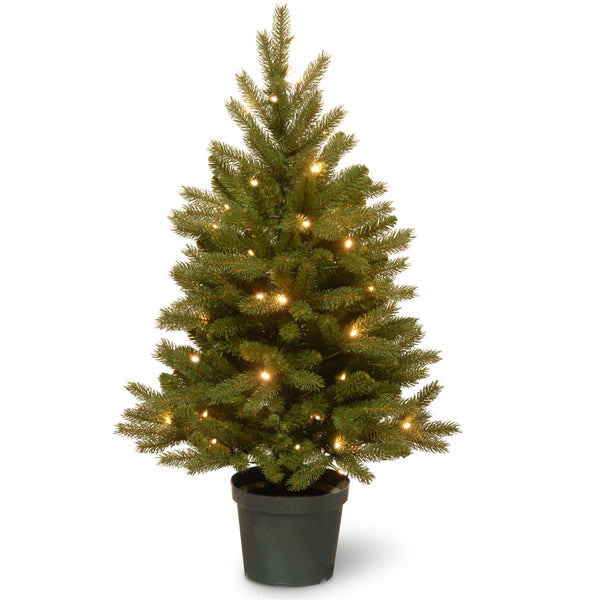 national tree company 4 ft. Pre-Lit Jersey Fraser Fir Tree with Warm White LED Lights