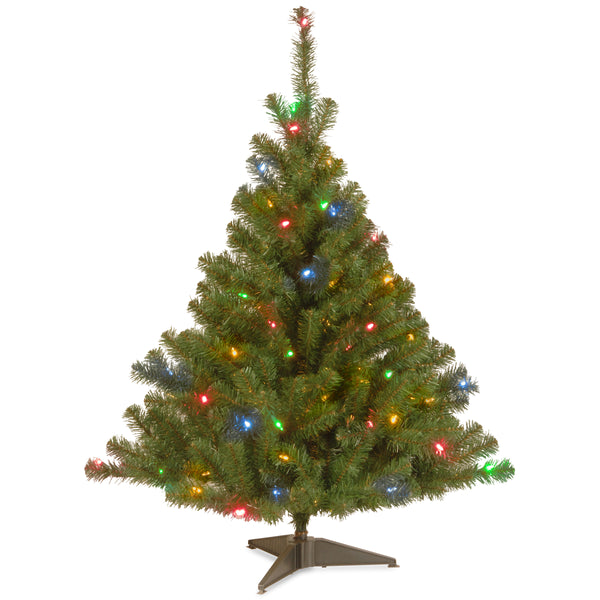 national tree company 4 ft. Pre-Lit Kincaid Spruce Tree with Multicolor Lights