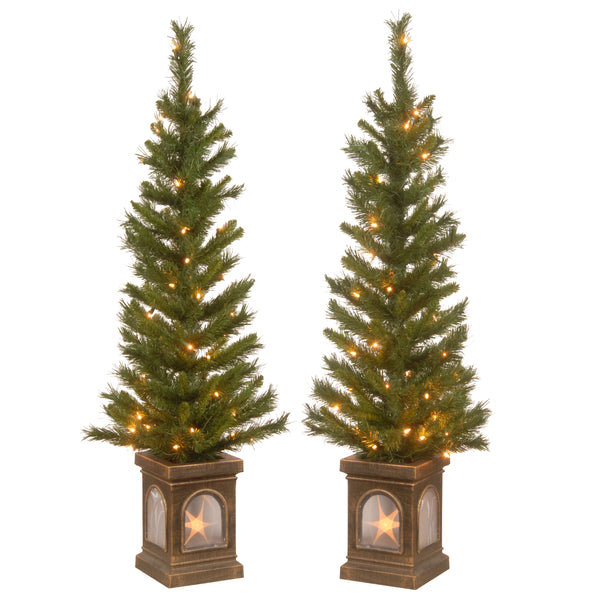 national tree company 4 ft. Pre-Lit Leigh Valley Tree Set with Clear Lights
