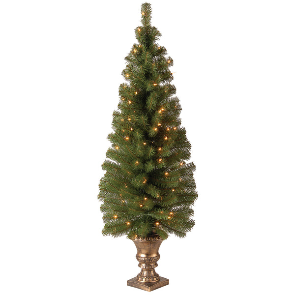 national tree company 4 ft. Pre-Lit Montclair Spruce Tree with Clear Lights