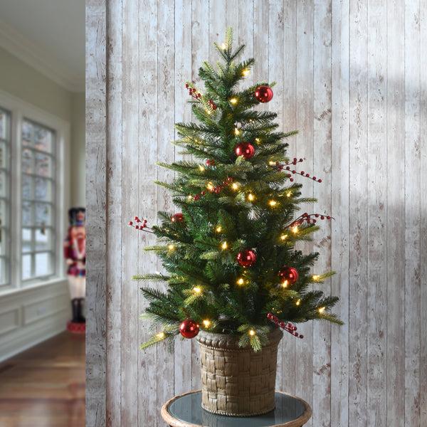 National Tree Company 4 Ft. Pre-Lit Scotch Creek Fir Tree With LED Lights