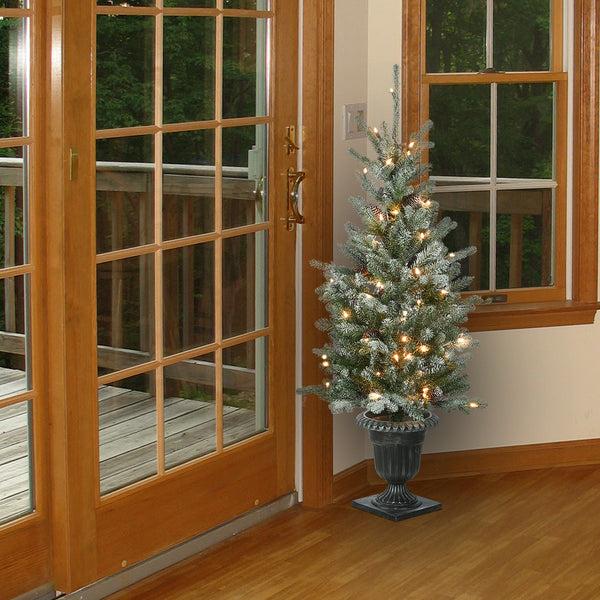 National Tree Company 4 Ft. Pre-Lit Snowy Morgan Spruce Tree With Clear Lights