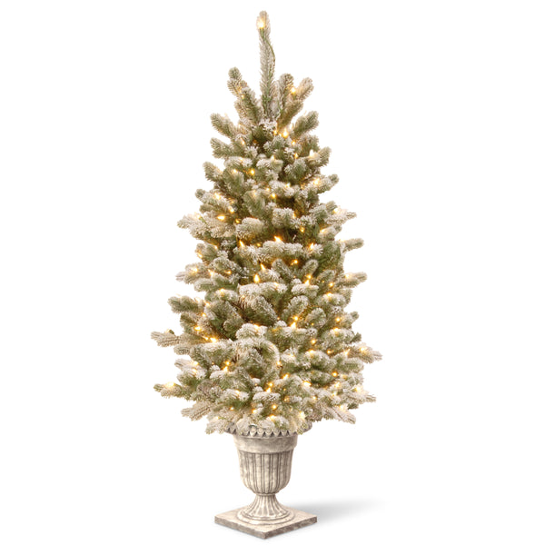 national tree company 4 ft. Pre-Lit Snowy Sheffield Spruce Tree with Twinkly LED Lights