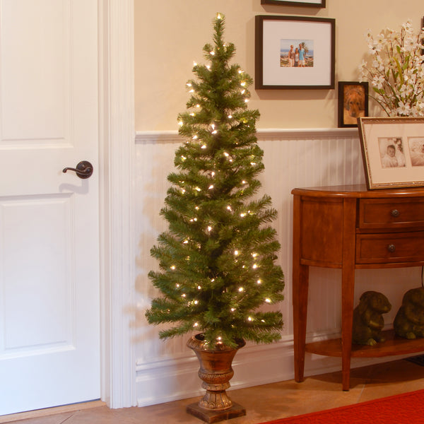 National Tree Company 5 Ft. Pre-Lit Montclair Spruce Slim Tree With Clear Lights