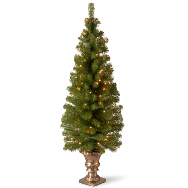 national tree company 5 ft. Pre-Lit Montclair Spruce Slim Tree with Clear Lights