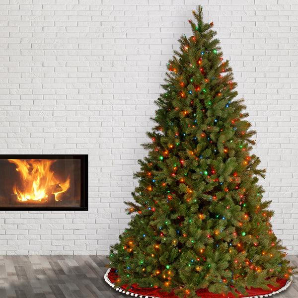 National Tree Company 6.5 Ft. Pre-Lit Downswept Douglas Fir Tree With Multicolor Lights