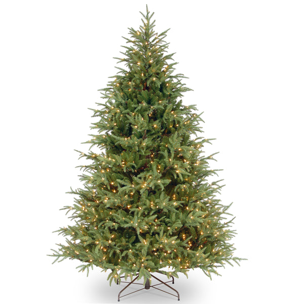 national tree company 6.5 ft. Pre-Lit Fraser Grande Tree with Clear Lights