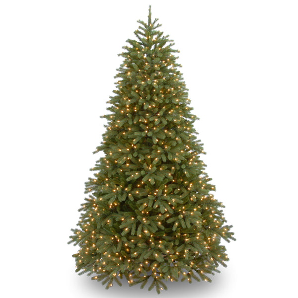 national tree company 6.5 ft. Pre-Lit Jersey Fraser Fir Medium Tree with Dual Color LED Lights