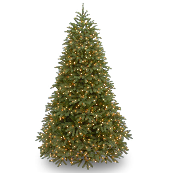 national tree company 6.5 ft. Pre-Lit Jersey Fraser Fir Medium Tree with Clear Lights