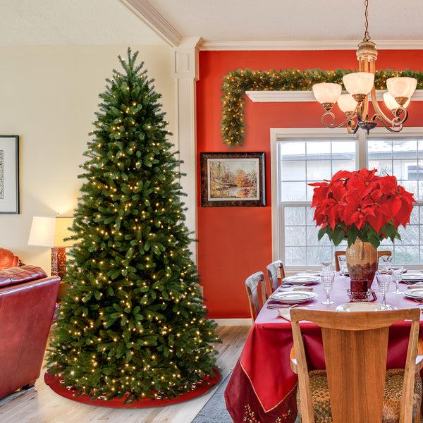 National Tree Company 6.5 Ft. Pre-Lit Jersey Fraser Fir Slim Tree With Clear Lights