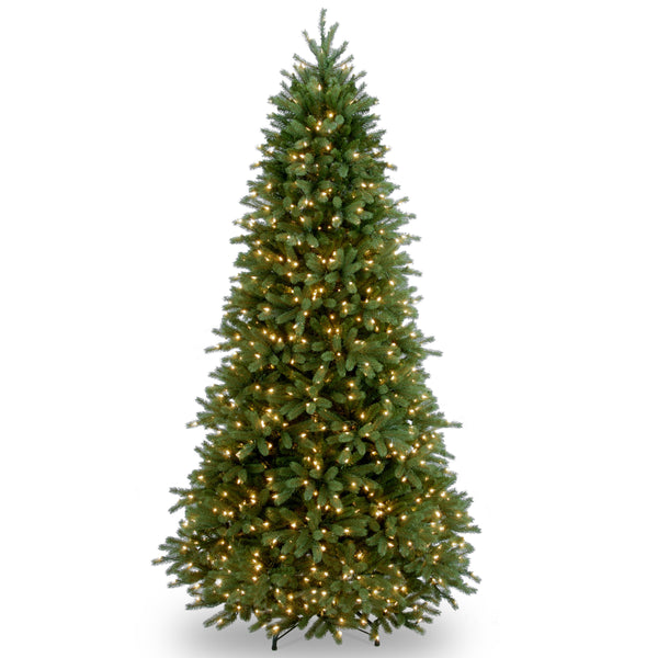 national tree company 6.5 ft. Pre-Lit Jersey Fraser Fir Slim Tree with Clear Lights