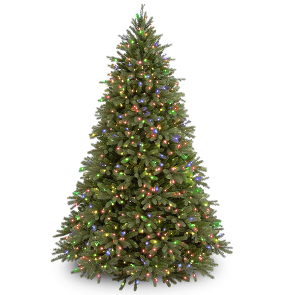 national tree company 6.5 ft. Pre-Lit Jersey Fraser Fir Tree with Multicolor Lights