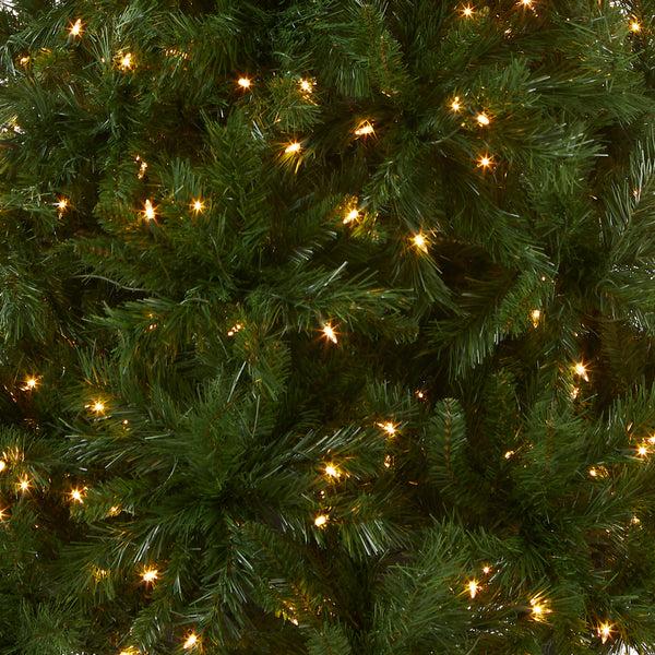 National Tree Company 6.5 Ft. Pre-Lit Winchester Pine Tree With Clear Lights