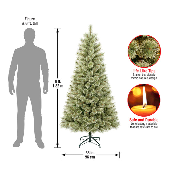 National Tree Company 6 Ft. Arcadia Pine Cashmere Tree
