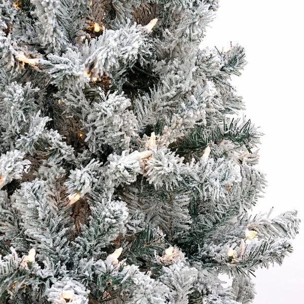 National Tree Company 6 Ft. Pre-Lit Acacia Flocked Tree With Clear Lights
