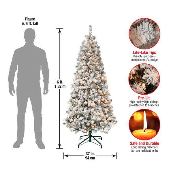 National Tree Company 6 Ft. Pre-Lit Acacia Slim Tree With Clear Lights