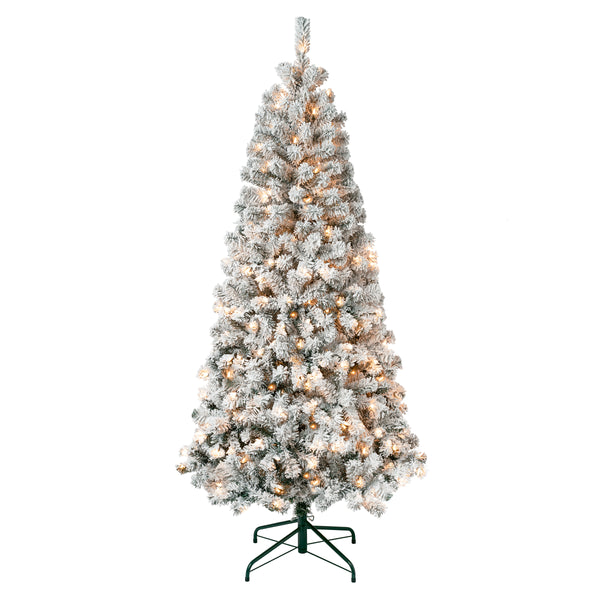 national tree company 6 ft. Pre-Lit Acacia Slim Tree with Clear Lights national tree company 6 ft. Pre-Lit Acacia Slim Tree with Clear Lights