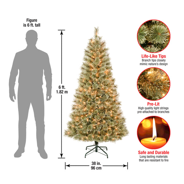 National Tree Company 6 Ft. Pre-Lit Arcadia Pine Cashmere With Clear Lights