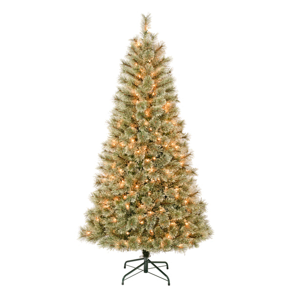 national tree company 6 ft. Pre-Lit Arcadia Pine Cashmere with Clear Lights