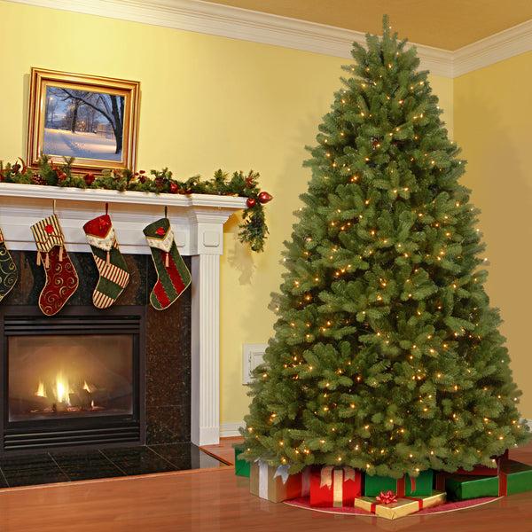 National Tree Company 6 Ft. Pre-Lit Newberry Spruce Tree With Clear Lights