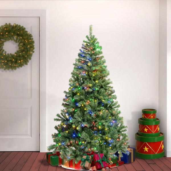 National Tree Company 6 Ft. Pre-Lit Sagamore Tree With Multi LED Lights