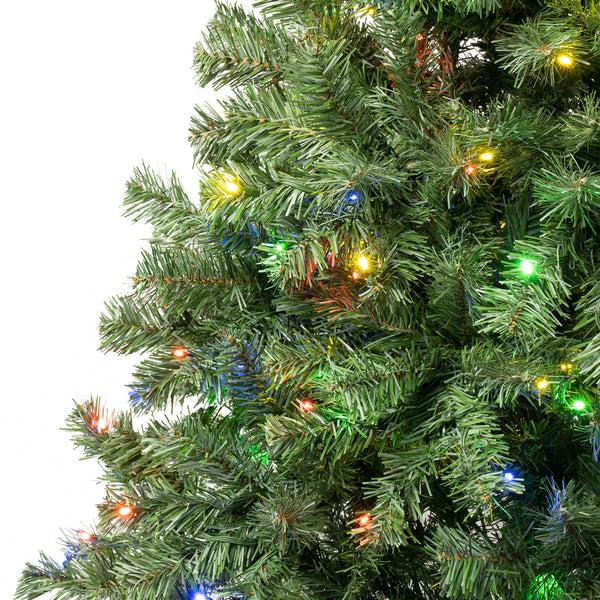 National Tree Company 6 Ft. Pre-Lit Sagamore Tree With Multi LED Lights
