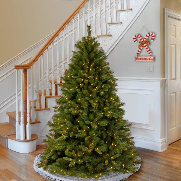 National Tree Company 6 Ft. Pre-Lit Winchester Pine Tree With Clear Lights