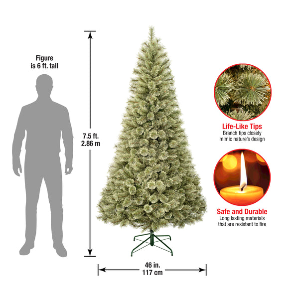 National Tree Company 7.5 Ft. Arcadia Pine Cashmere Tree